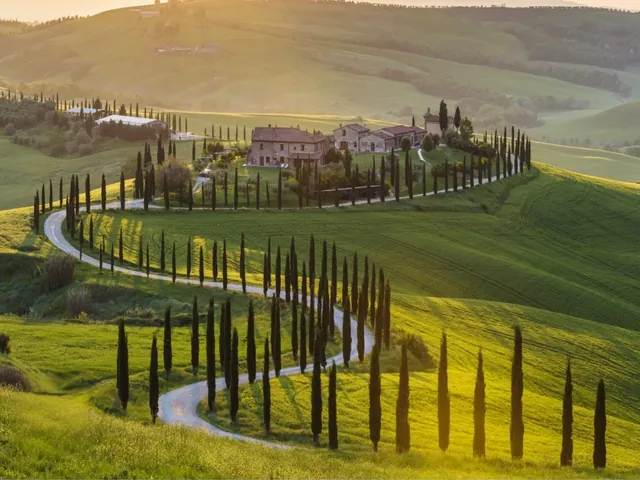 Strada bianca tra i cipressi sulle colline della Val d'Orcia, in Toscana